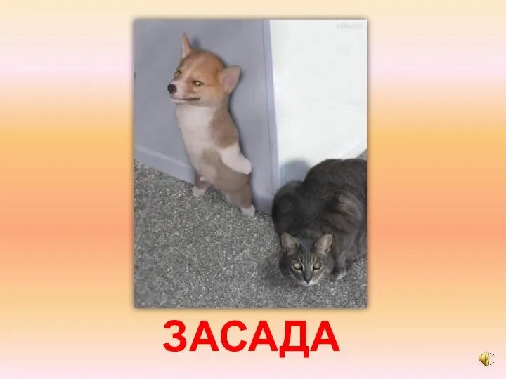 ЗАСАДА