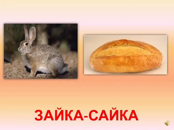 ЗАЙКА-САЙКА