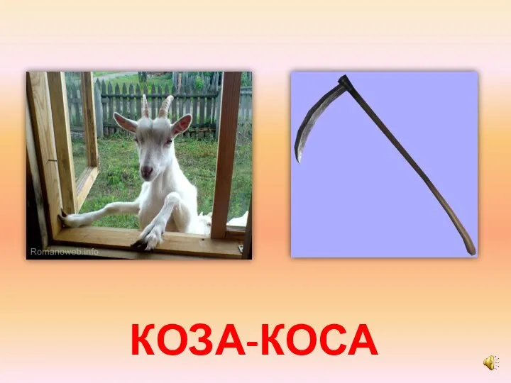 КОЗА-КОСА