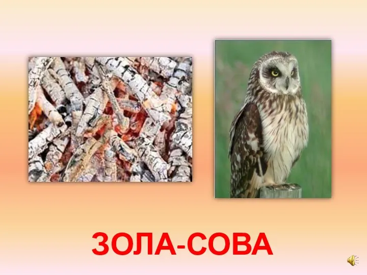 ЗОЛА-СОВА