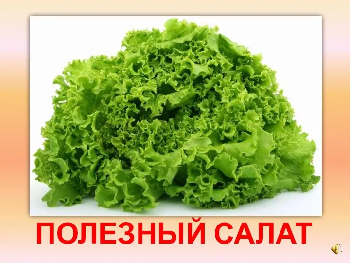 ПОЛЕЗНЫЙ САЛАТ