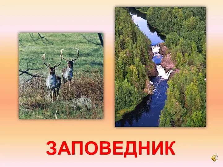 ЗАПОВЕДНИК