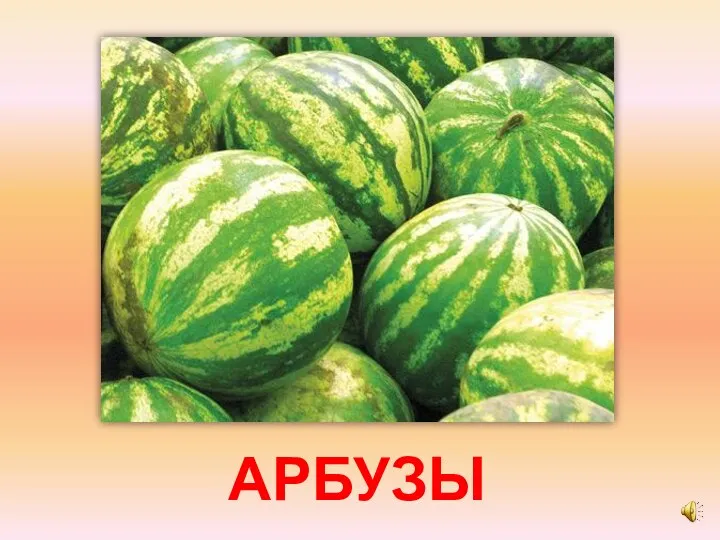 АРБУЗЫ