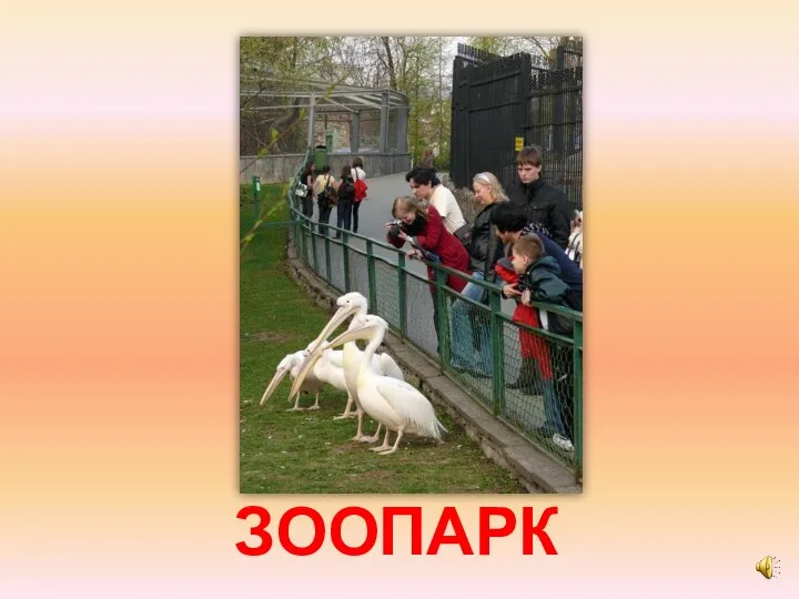 ЗООПАРК