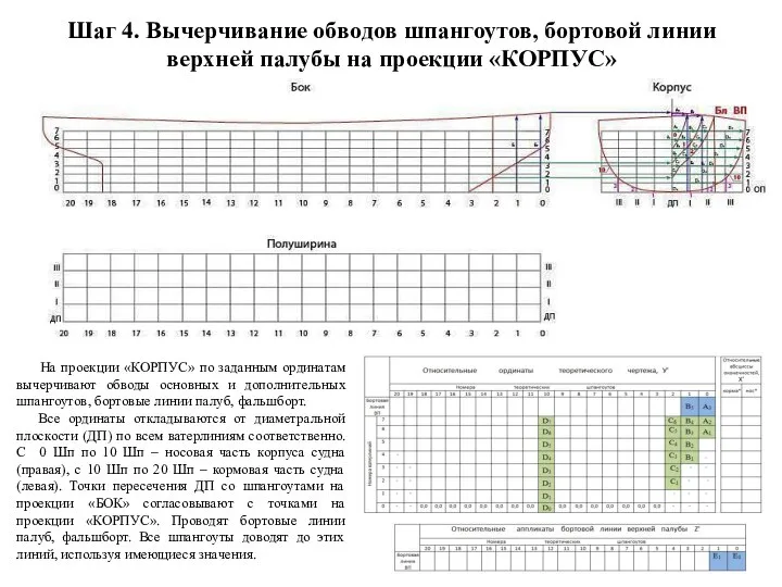 Шаг 4. Вычерчивание обводов шпангоутов, бортовой линии верхней палубы на проекции «КОРПУС»