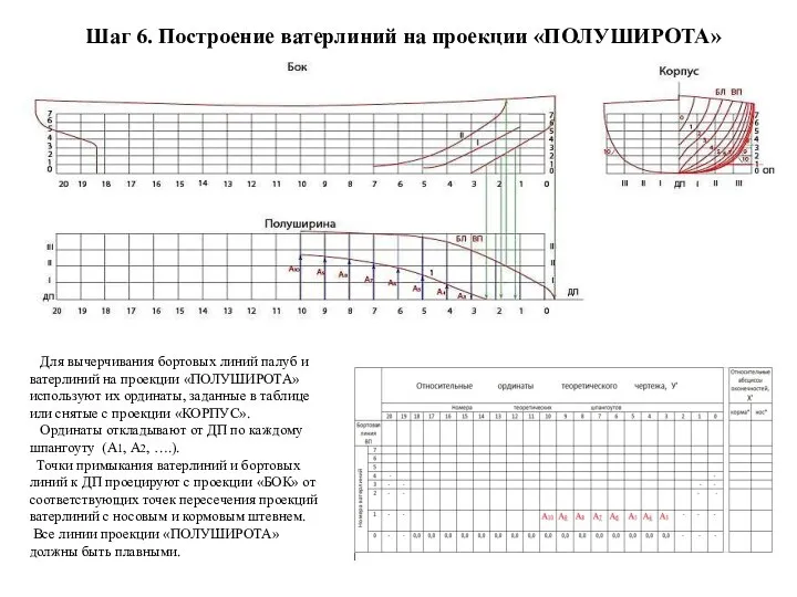 Шаг 6. Построение ватерлиний на проекции «ПОЛУШИРОТА» Для вычерчивания бортовых линий палуб