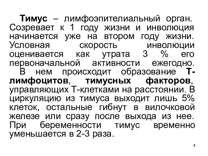 Тимус – лимфоэпителиальный орган. Созревает к 1 году жизни и инволюция начинается