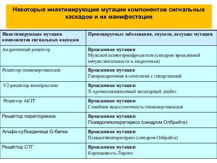 Некоторые инактивирующие мутации компонентов сигнальных каскадов и их манифестация