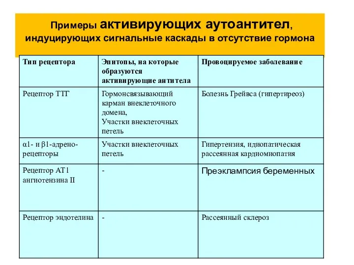 Примеры активирующих аутоантител, индуцирующих сигнальные каскады в отсутствие гормона