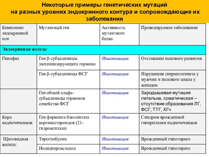 Некоторые примеры генетических мутаций на разных уровнях эндокринного контура и сопровождающие их заболевания