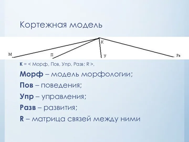 Кортежная модель К = , Морф – модель морфологии; Пов – поведения;