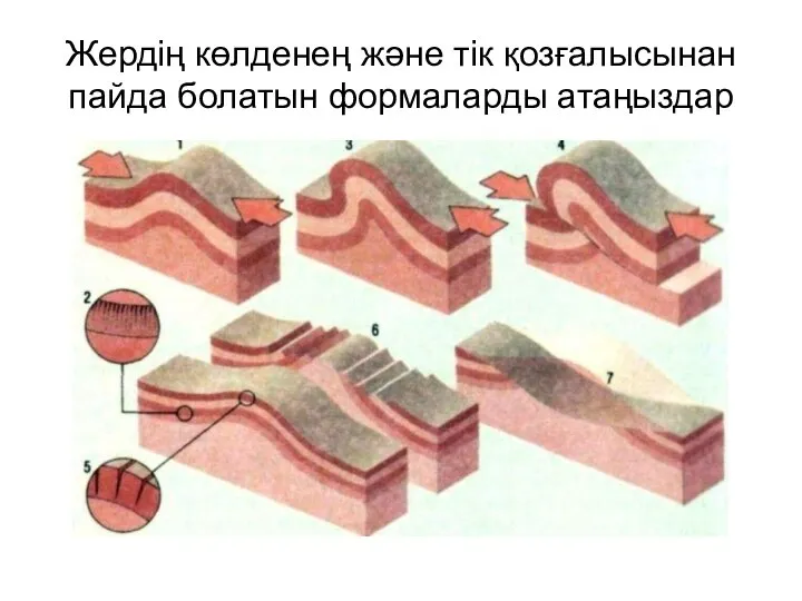 Жердің көлденең және тік қозғалысынан пайда болатын формаларды атаңыздар