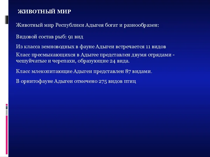 ЖИВОТНЫЙ МИР Животный мир Республики Адыгея богат и разнообразен: Видовой состав рыб: