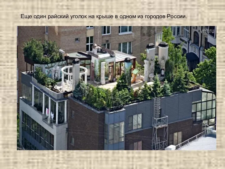 Еще один райский уголок на крыше в одном из городов России.