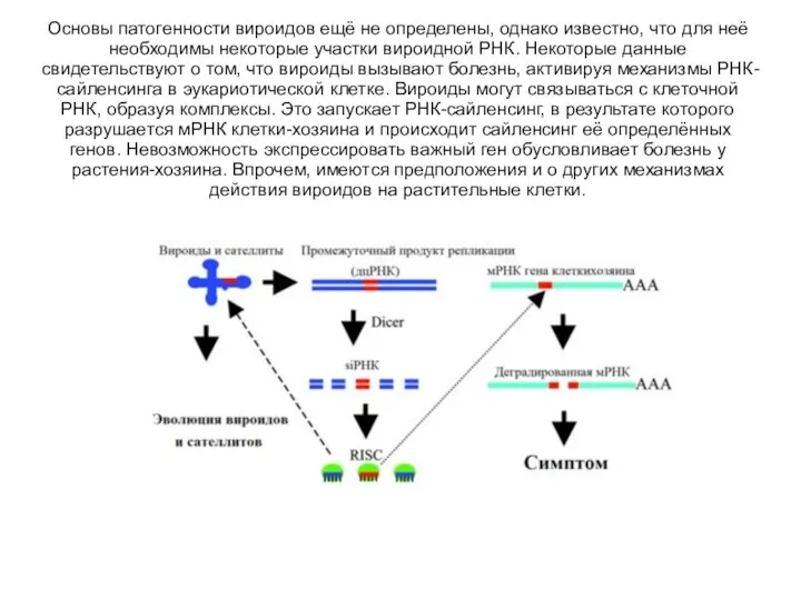 Основы патогенности вироидов ещё не определены, однако известно, что для неё необходимы