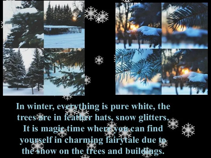 In winter, everything is pure white, the trees are in feather hats,