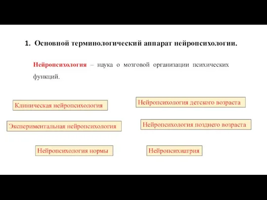 Основной терминологический аппарат нейропсихологии. Нейропсихология – наука о мозговой организации психических функций.