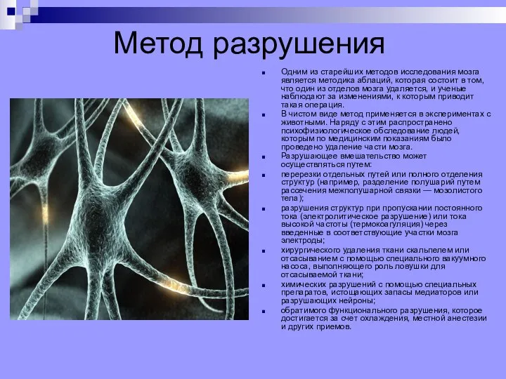 Метод разрушения Одним из старейших методов исследования мозга является методика аблаций, которая