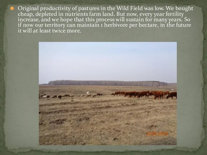 Original productivity of pastures in the Wild Field was low. We bought