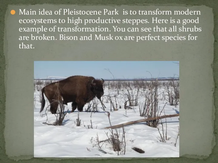 Main idea of Pleistocene Park is to transform modern ecosystems to high