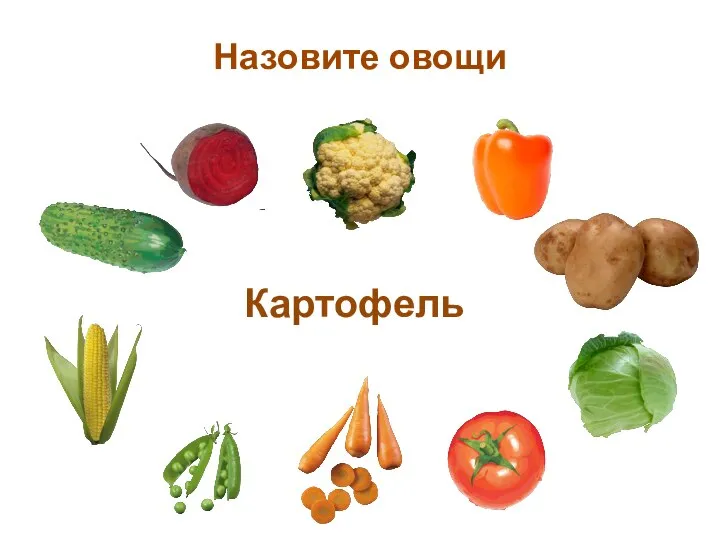 Назовите овощи Картофель
