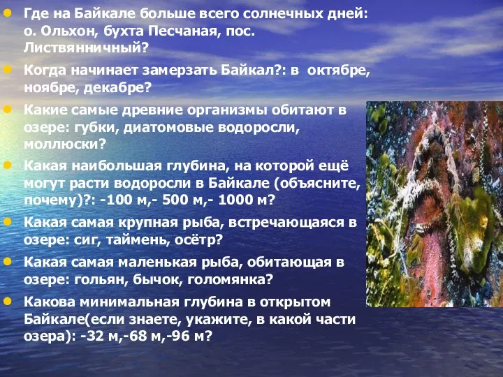 Где на Байкале больше всего солнечных дней: о. Ольхон, бухта Песчаная, пос.