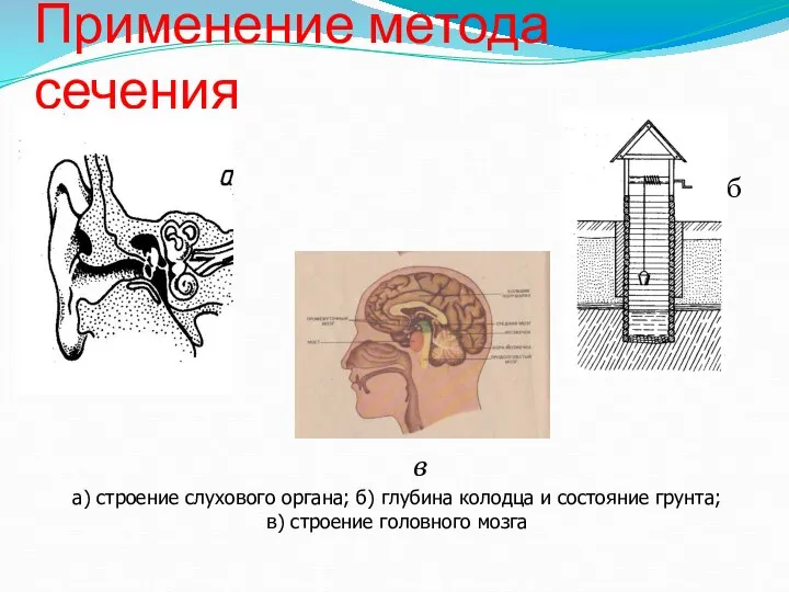 Применение метода сечения б а) строение слухового органа; б) глубина колодца и