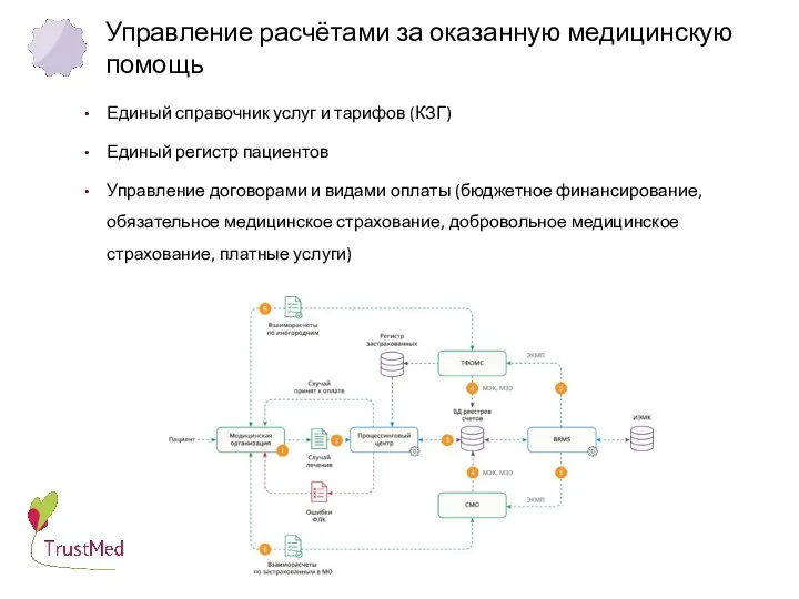 Управление расчётами за оказанную медицинскую помощь Единый справочник услуг и тарифов (КЗГ)