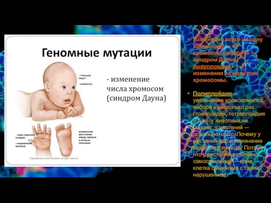 Изменение всего на одну хромосому — 47 хромосом вместо 46 — синдром