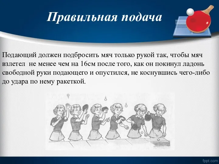 Правильная подача Подающий должен подбросить мяч только рукой так, чтобы мяч взлетел