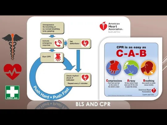 BLS AND CPR