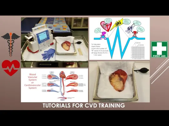 TUTORIALS FOR CVD TRAINING