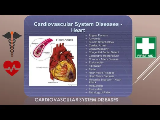 CARDIOVASCULAR SYSTEM DISEASES