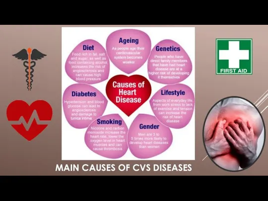 MAIN CAUSES OF CVS DISEASES