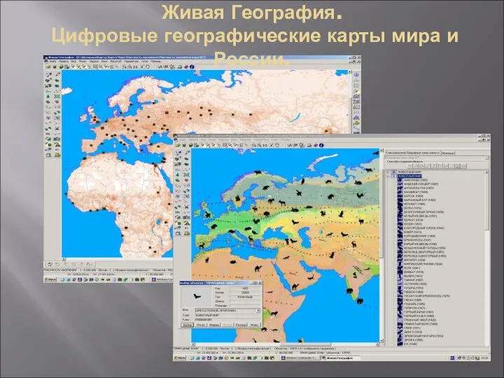 Живая География. Цифровые географические карты мира и России.