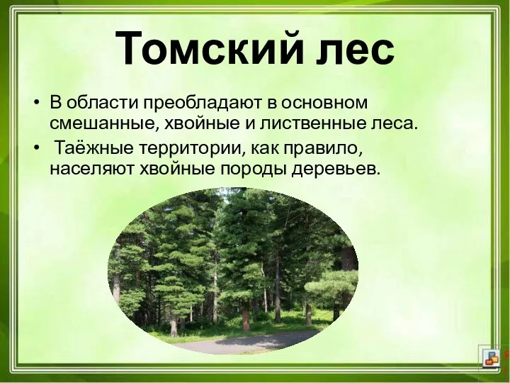 В области преобладают в основном смешанные, хвойные и лиственные леса. Таёжные территории,