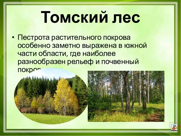 Пестрота растительного покрова особенно заметно выражена в южной части области, где наиболее