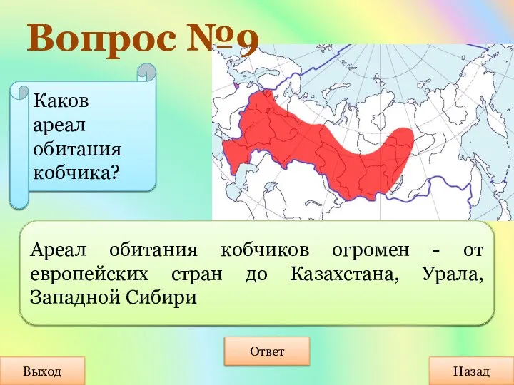 Вопрос №9 Выход Назад Ответ Ареал обитания кобчиков огромен - от европейских