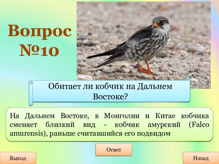 Вопрос №10 Выход Назад Ответ На Дальнем Востоке, в Монголии и Китае