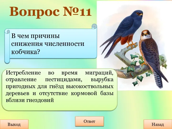 Вопрос №11 Выход Назад Ответ Истребление во время миграций, отравление пестицидами, вырубка