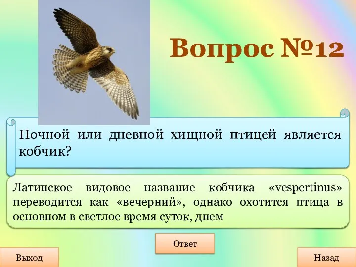 Выход Назад Ответ Латинское видовое название кобчика «vespertinus» переводится как «вечерний», однако