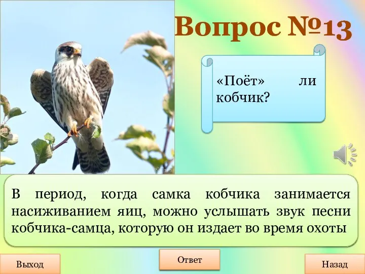 Вопрос №13 Выход Назад Ответ В период, когда самка кобчика занимается насиживанием