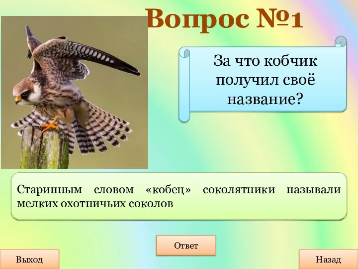 Вопрос №1 Выход Назад Ответ Старинным словом «кобец» соколятники называли мелких охотничьих