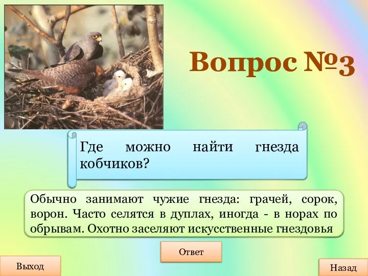 Вопрос №3 Выход Ответ Обычно занимают чужие гнезда: грачей, сорок, ворон. Часто