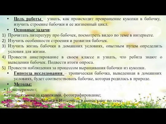 Цель работы – узнать, как происходит превращение куколки в бабочку, изучить строение