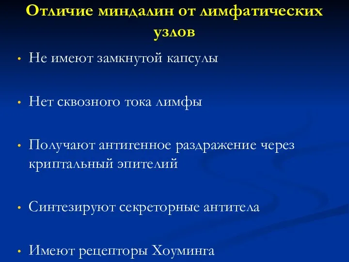 Отличие миндалин от лимфатических узлов Не имеют замкнутой капсулы Нет сквозного тока