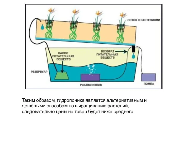 Таким образом, гидропоника является альтернативным и дешёвыми способом по выращиванию растений, следовательно