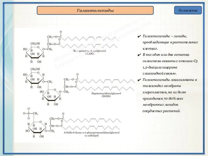 Оглавление Галактолипиды Галактолипиды – липиды, преобладающие в растительных клетках. В них один