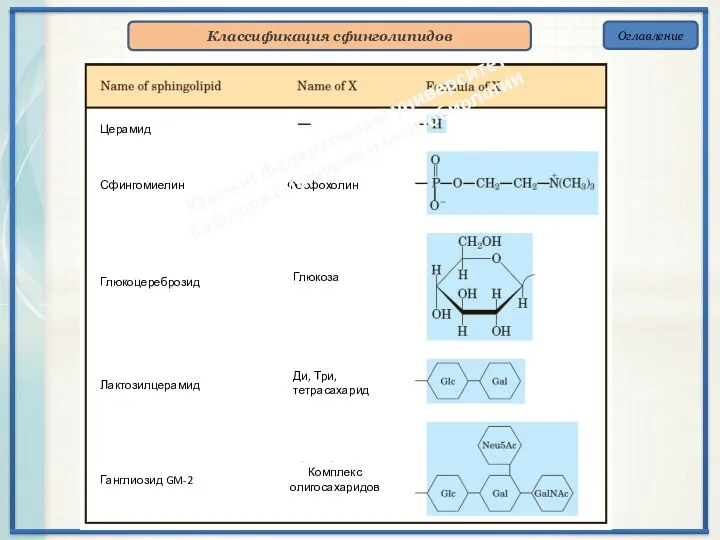 Оглавление Классификация сфинголипидов Южный федеральный университет Кафедра биохимии и микробиологии