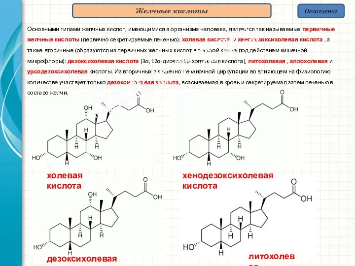 Оглавление Желчные кислоты Основными типами желчных кислот, имеющимися в организме человека, являются